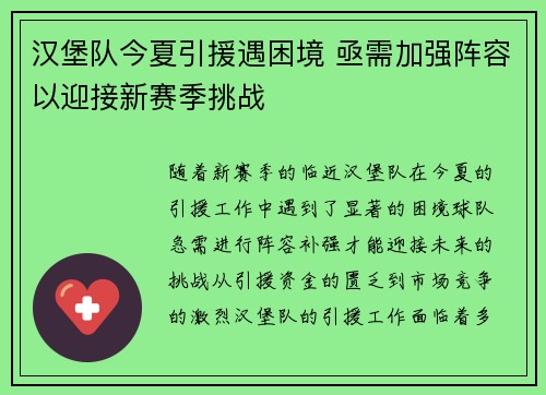 汉堡队今夏引援遇困境 亟需加强阵容以迎接新赛季挑战